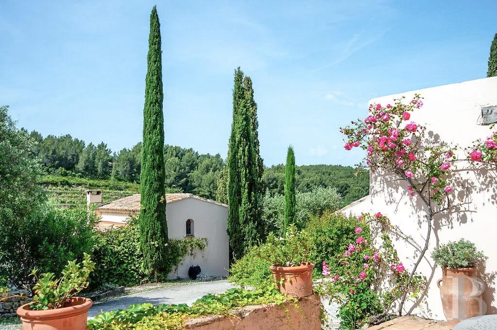 vineyards for sale France provence cote dazur   - 14